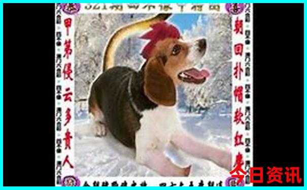 自驾游草原旅游攻略